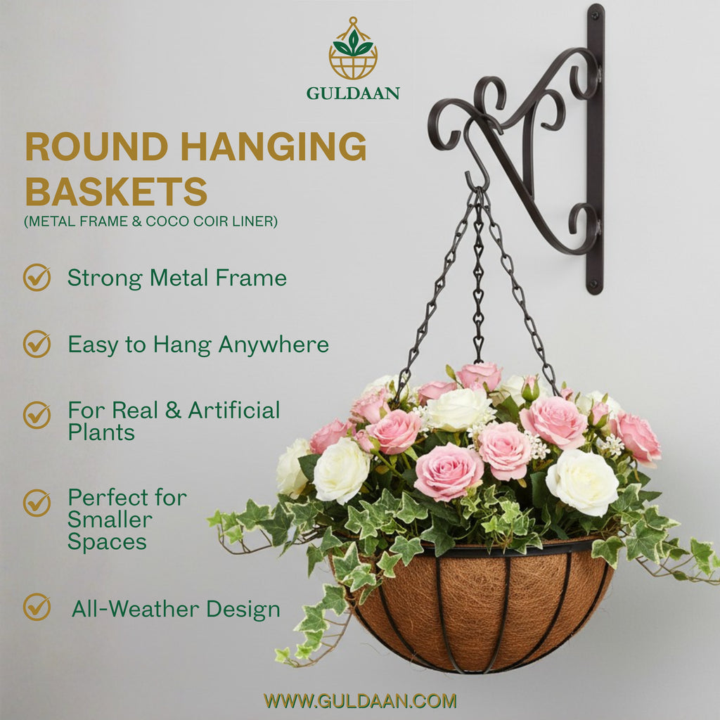 Signature Hanging Basket with metal frame For Garden and Home Décor