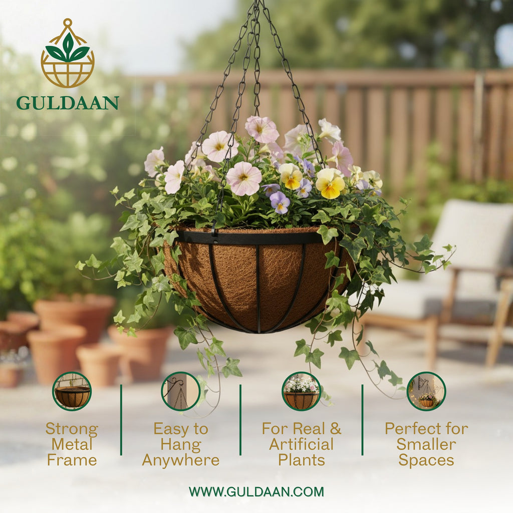 Signature Hanging Basket with metal frame For Garden and Home Décor