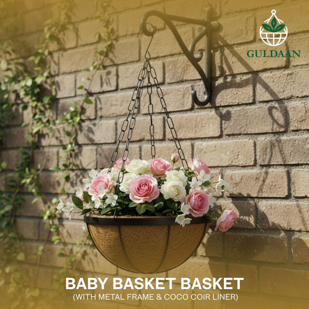 Premium Baby Basket Basket with Coco Coir liner for Garden and Home Décor