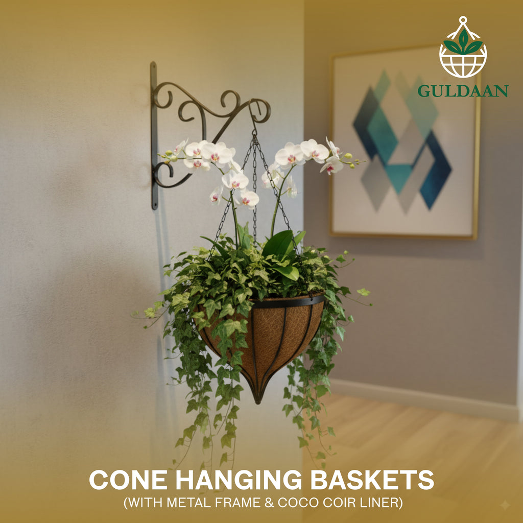 Exclusive Cone Hanging Basket with Coco liner Metal frame 12″ Size Color Black