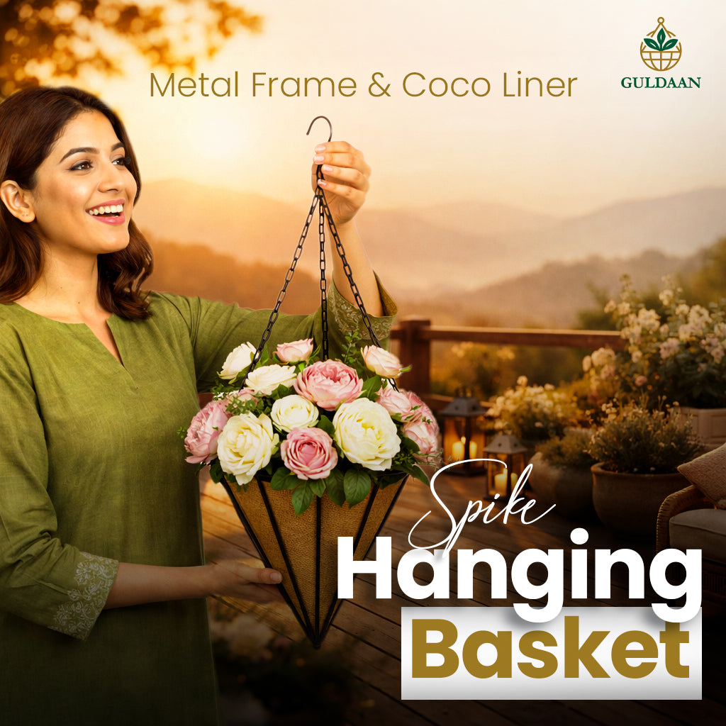 Elegant Flowers Hanging Basket Metal frame coco coir Liner for Outdoor Garden & Home Décor Black