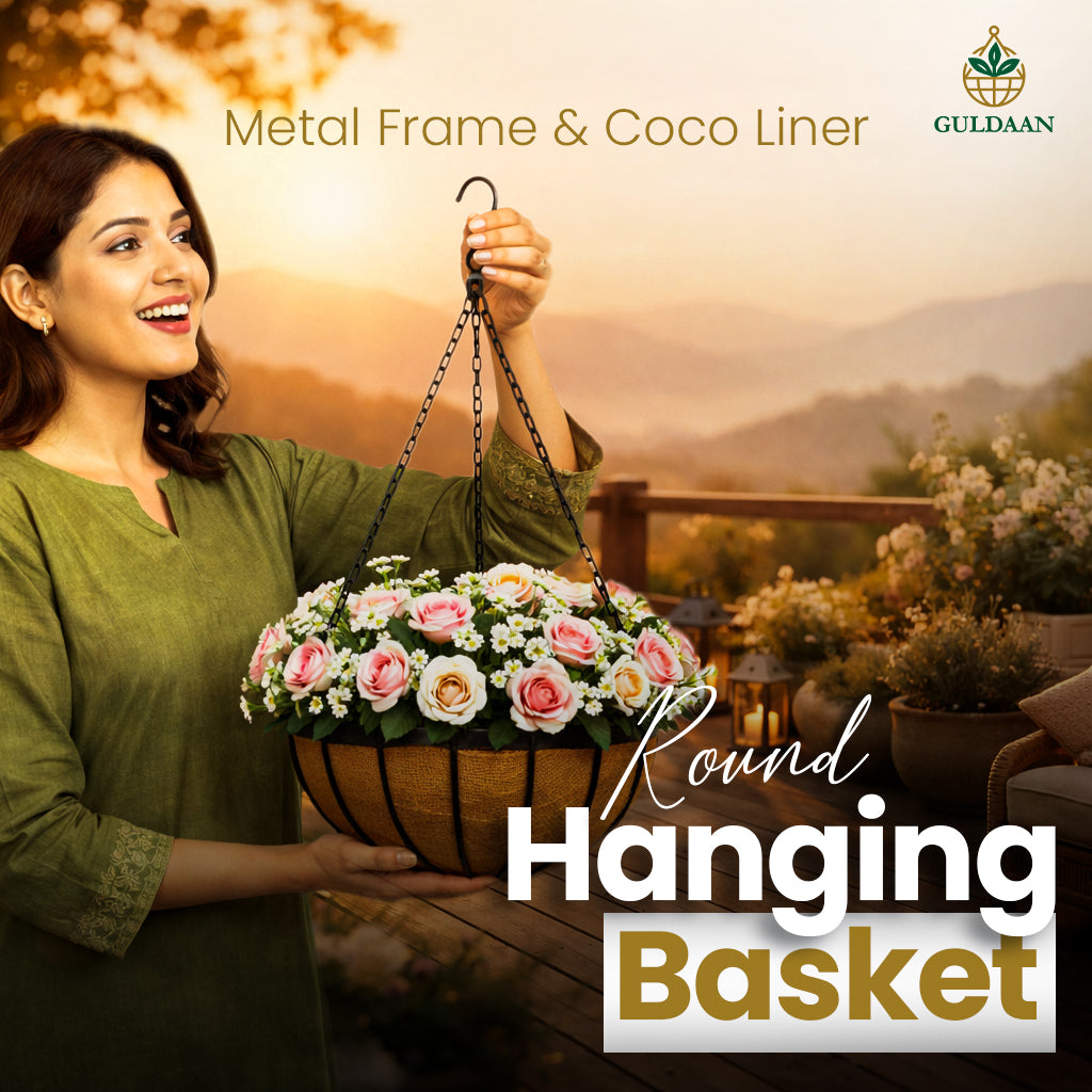 Signature Hanging Basket with metal frame For Garden and Home Décor