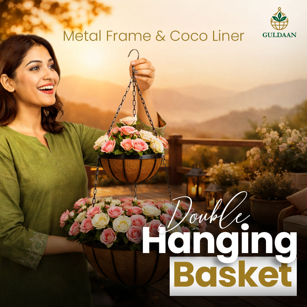 Exclusive Double Hanging Baskets with Coco liner Metal frame Color Black
