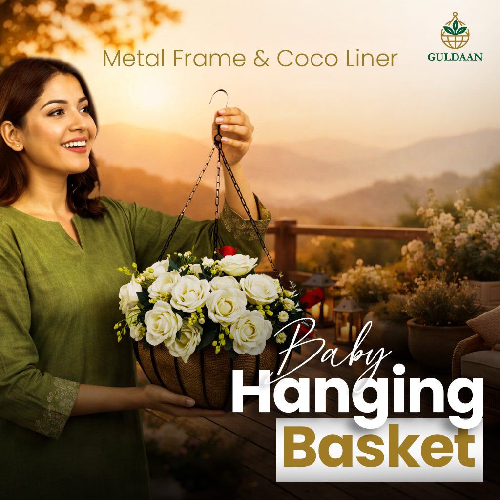 Premium Baby Basket Basket with Coco Coir liner for Garden and Home Décor