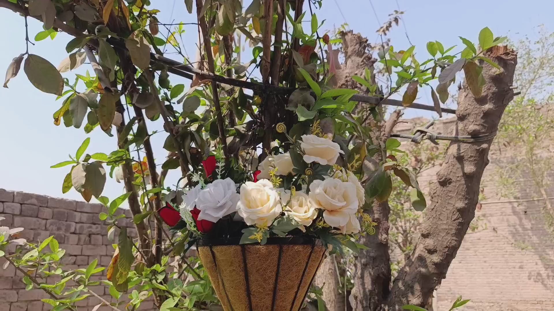 Spike Flowers Hanging Basket